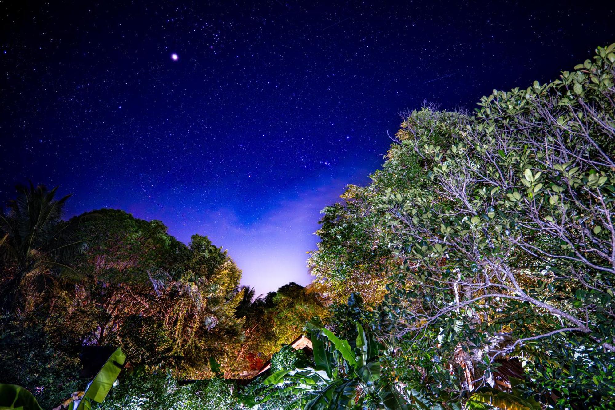 Easy Tiger - M'Pai Bay Beach, Koh Rong Sanloem Bagian luar foto